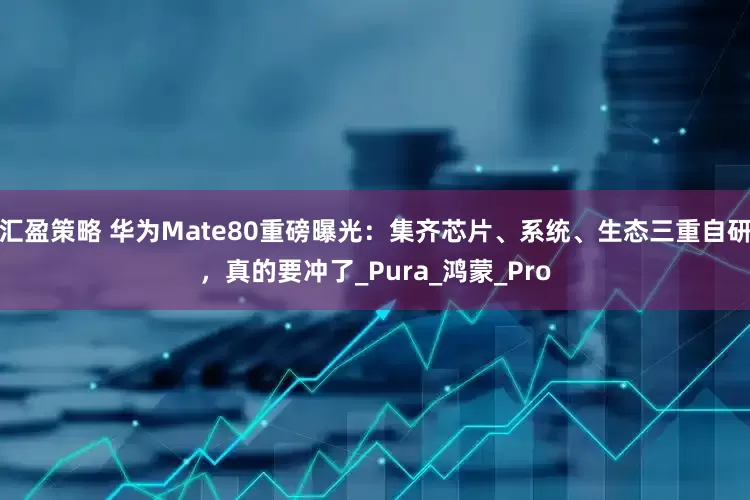 汇盈策略 华为Mate80重磅曝光：集齐芯片、系统、生态三重自研，真的要冲了_Pura_鸿蒙_Pro