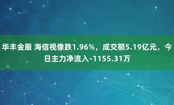 华丰金服 海信视像跌1.96%，成交额5.19亿元，今日主力净流入-1155.31万