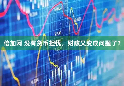 倍加网 没有货币担忧，财政又变成问题了？